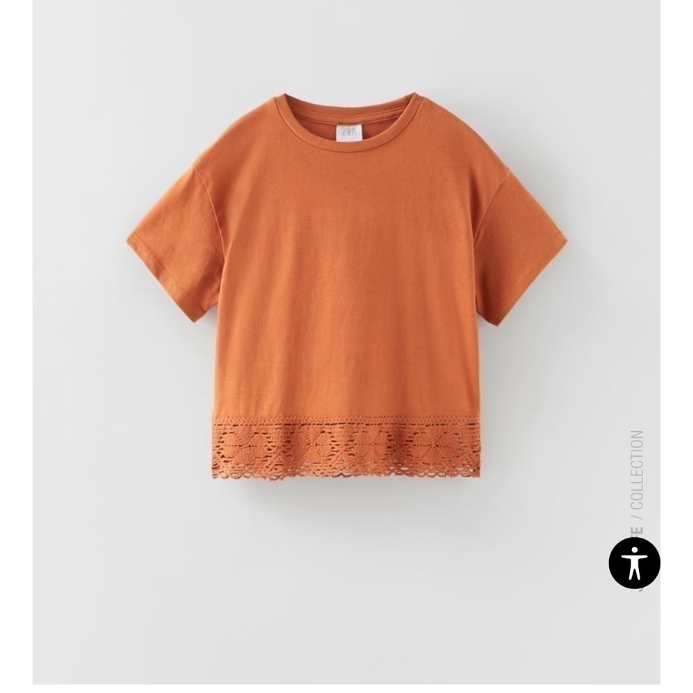 Zara Top